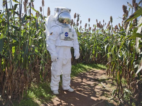 NASA bets the farm on the long-term viability of space agriculture