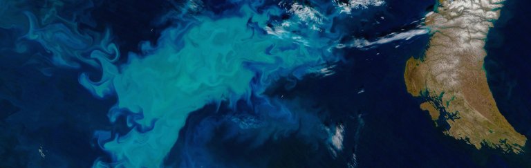 Deep-sea robots are scoping out the secret origins of algae blooms