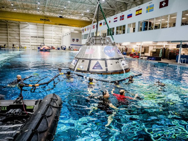 Could you qualify to be an astronaut?