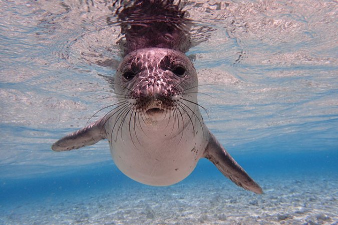 Celebrate World Ocean’s Day with these gorgeous photos of the sea