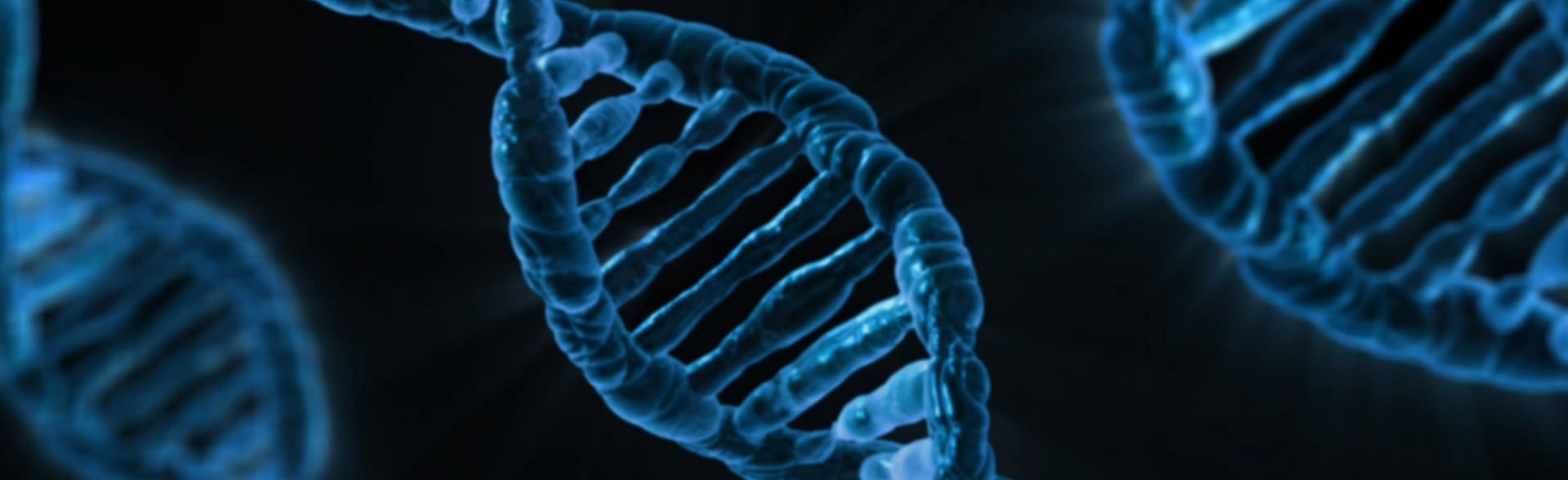 Double Helix