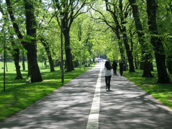 Even if you live in a city, you can get health benefits from nature