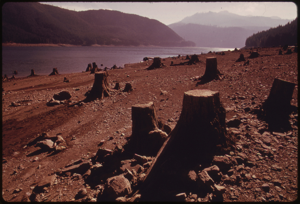 clear cut trees detroit lake dam