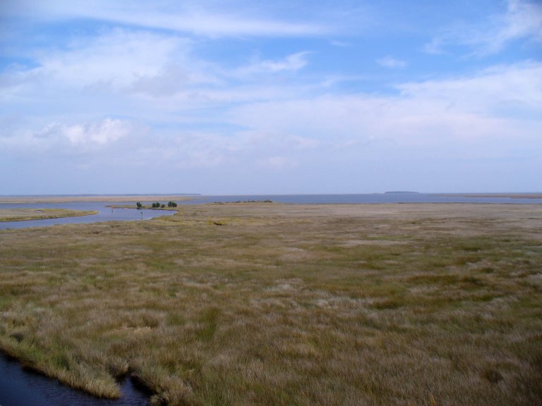 Study: Rising Global Temperatures Spur Steepest Sea Level Rise In 2,100 Years