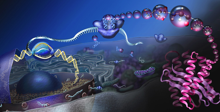 Biology Ideas That Billionaire Peter Thiel Thinks Are Worth Funding