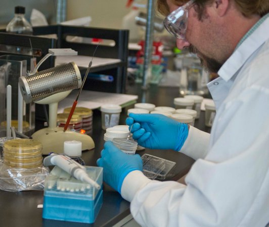How NASA’s Microbe Detection Technology May Speed Up Tissue Transplants
