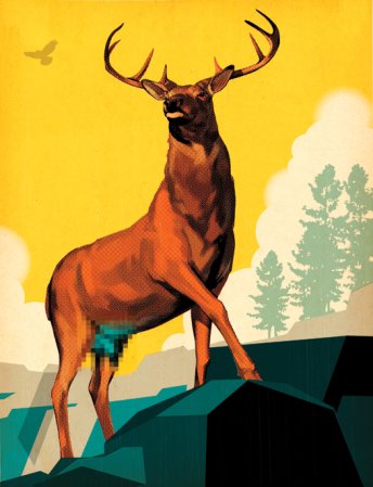 Approved for Use: the First Birth Control for Wildlife