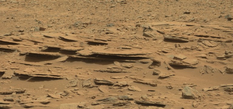 Earth Bacteria Can Survive And Grow In Extremely Hostile, Mars-Like Conditions