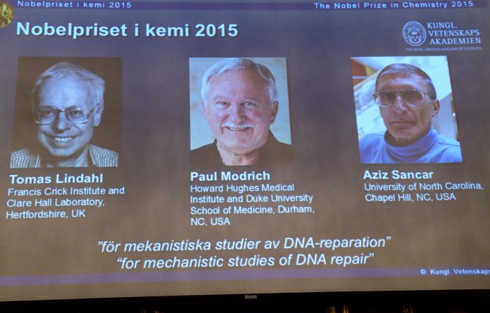 Nobel Prize In Chemistry Goes To 3 Scientists Who Uncovered DNA Repair