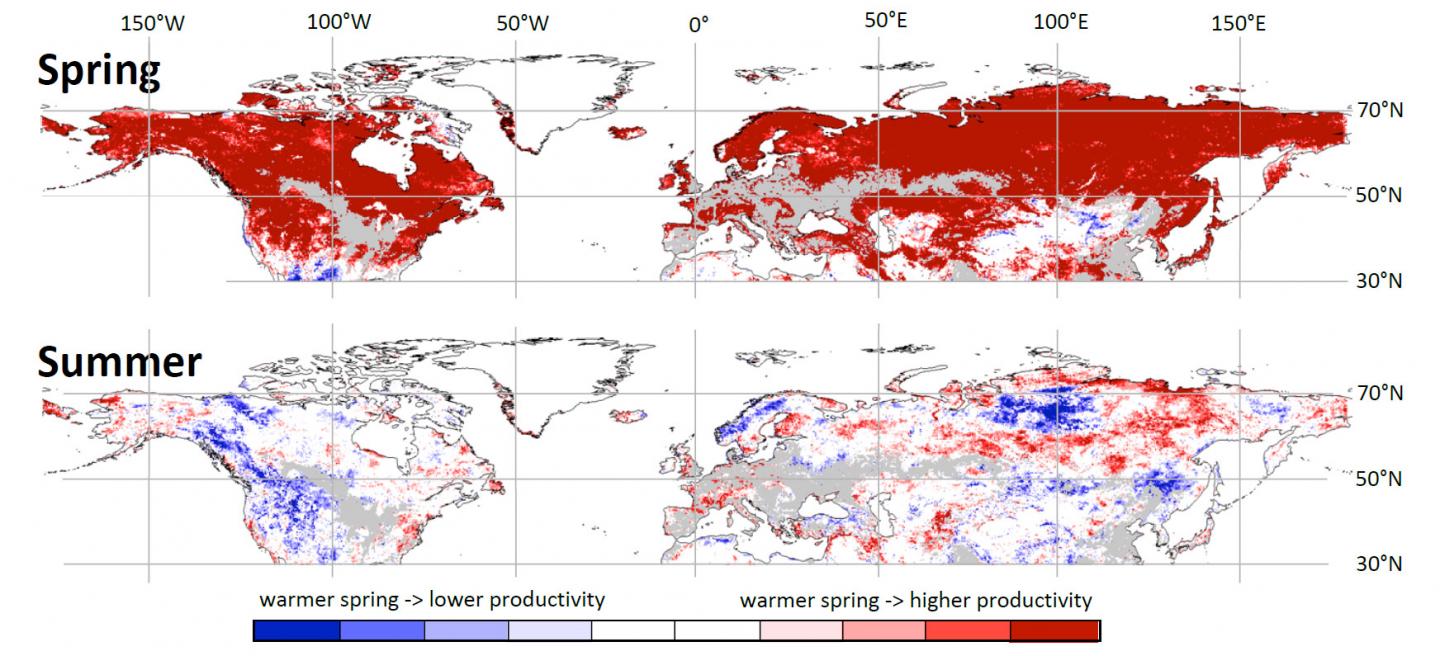 satellite images of vegetation