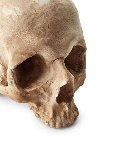 Scientists just uncovered the cause of a massive epidemic using 500-year-old teeth