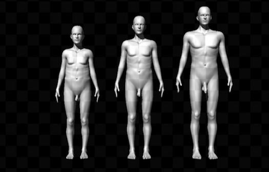 Penis Size Matters, Study Says