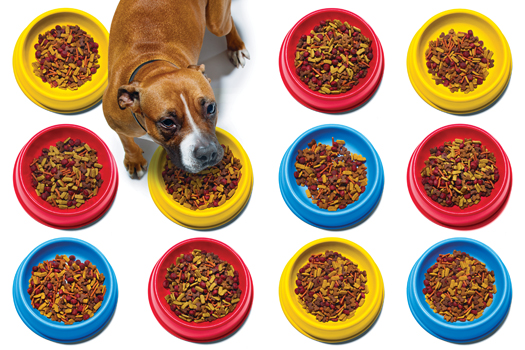The Chemistry of Kibble