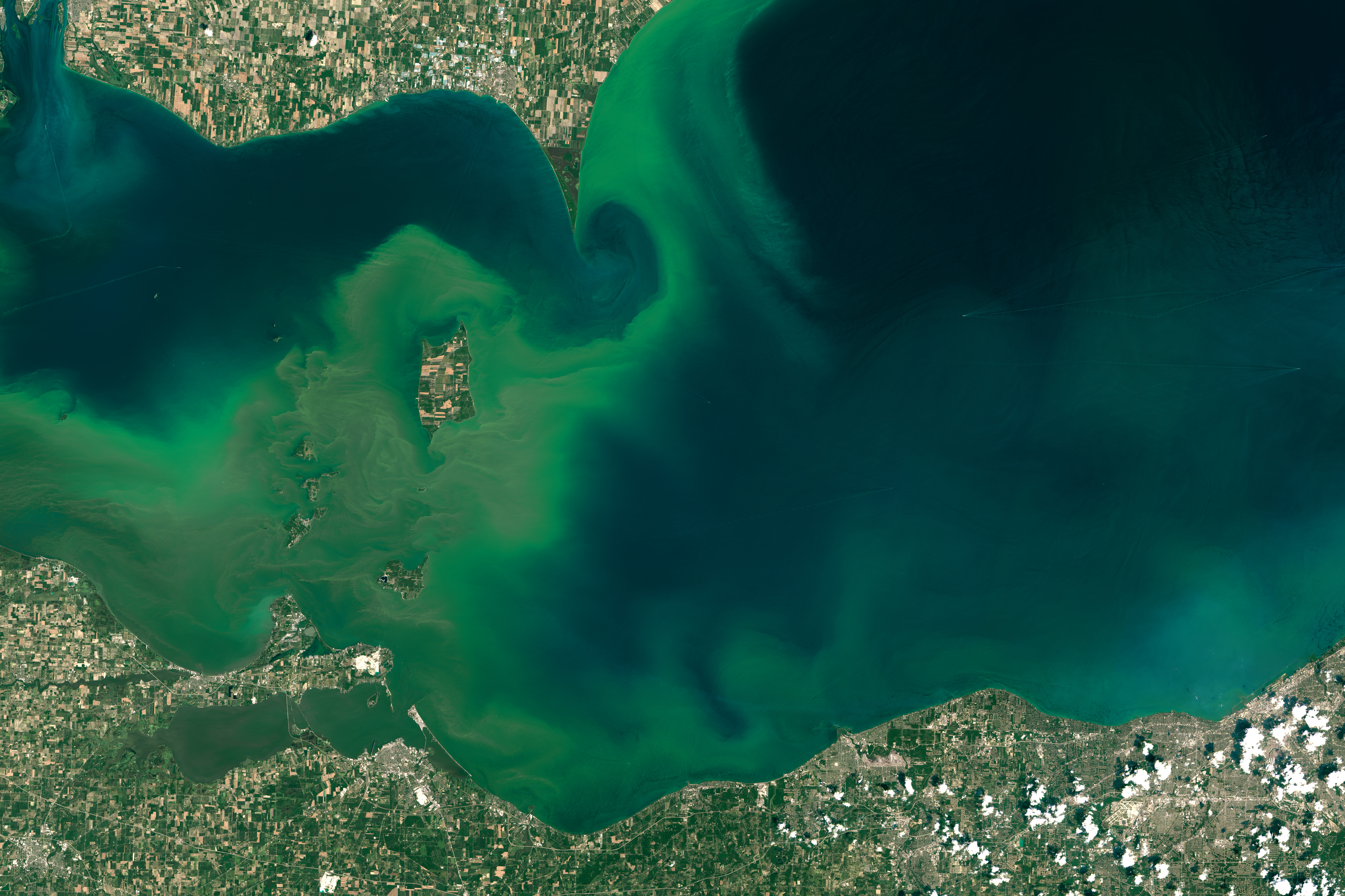 An algal bloom on Lake Erie