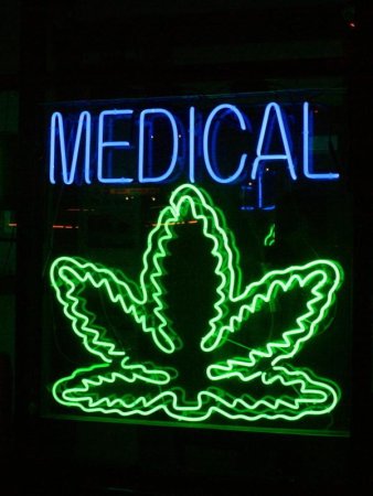 Marijuana Compound Removes Alzheimer’s Plaque From Brain Cells, Study Finds