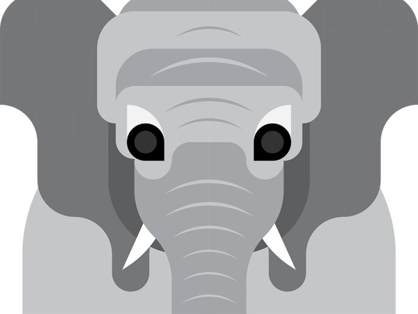 african elephant