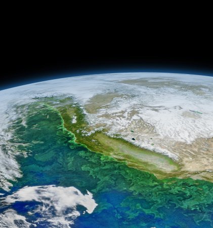 Warmer oceans are now linked to dangerous neurotoxins in shellfish