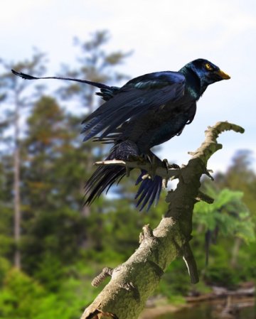 Reconstructed: a Dinosaur With Four Iridescent Wings
