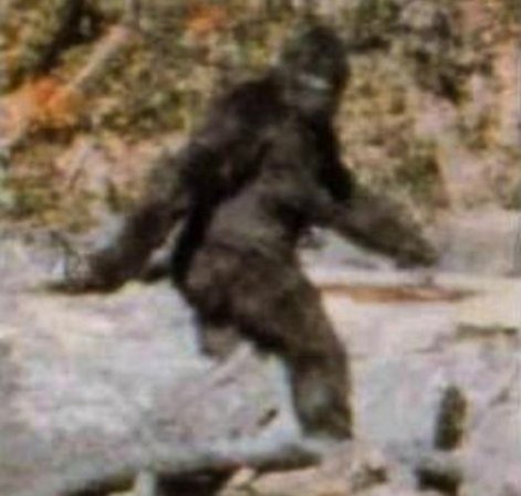 httpswww.popsci.comsitespopsci.comfilesimport2014bigfoot-film.jpg