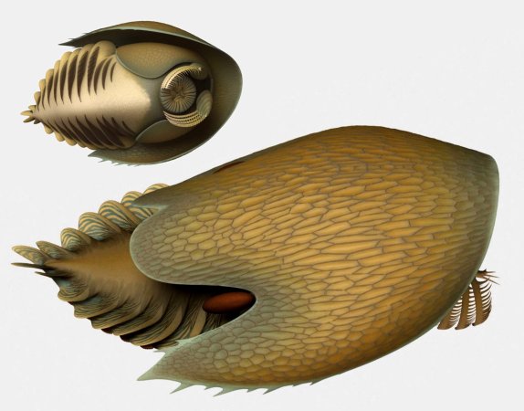 This ancient predator had claws like rakes and a body like a spaceship