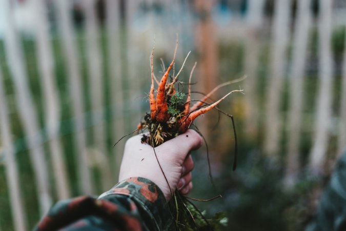 The complete guide to building a rooftop garden