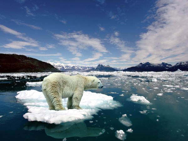 Melting ice probably isn’t causing extreme winter weather, but there is a connection