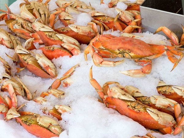 Dungeness Crabs