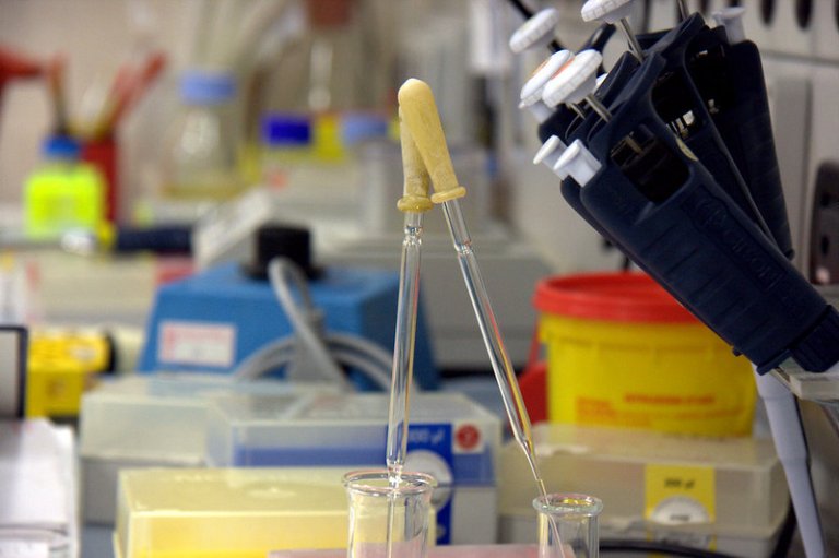 A lab with pipettes