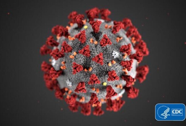 A close-up of a spherical microbe covered in protrusions.