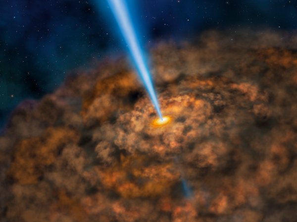 black hole jet