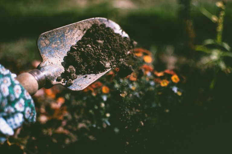 Shovel digging into soil.