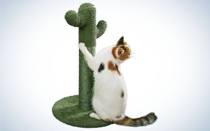  A white cat on a green cactus cat scratching post