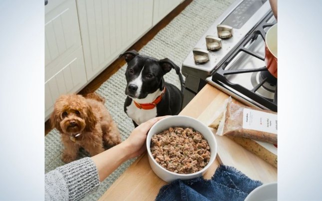 The Farmer’s Dog is the best human-grade dog s