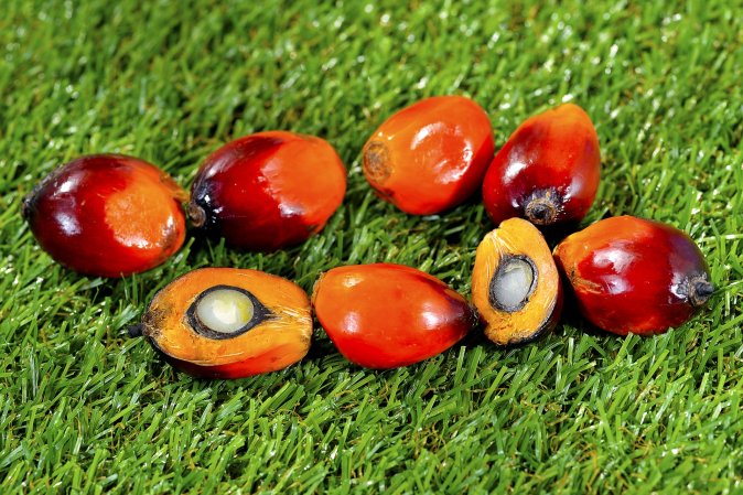 Palm fruit on grass.