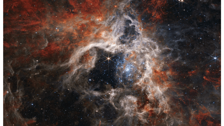 The James Webb Space Telescope opens spooky season with stunning images of Tarantula nebula