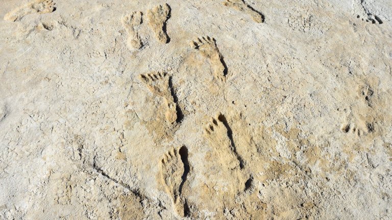 Scientists still are figuring out how to age the ancient footprints in White Sands National Park