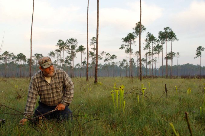 One of the world's last worm grunters catches earthworms in Florida.
