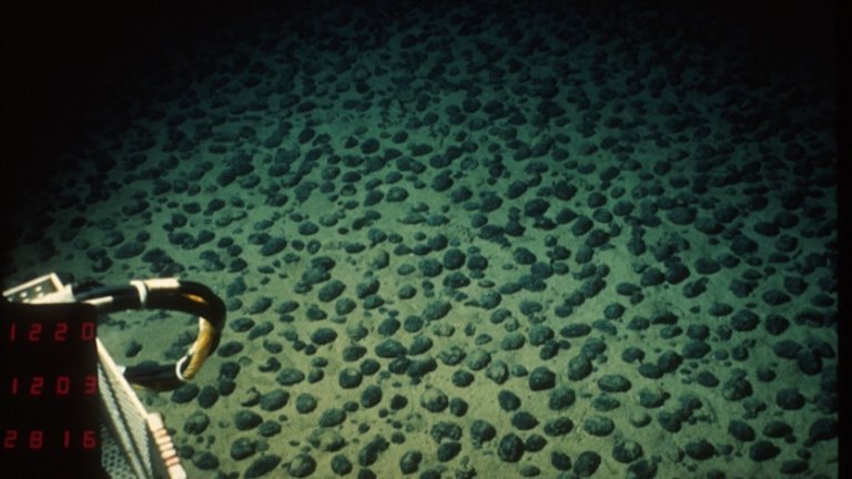Polymetallic nodules scattered across bottom of the ocean floor