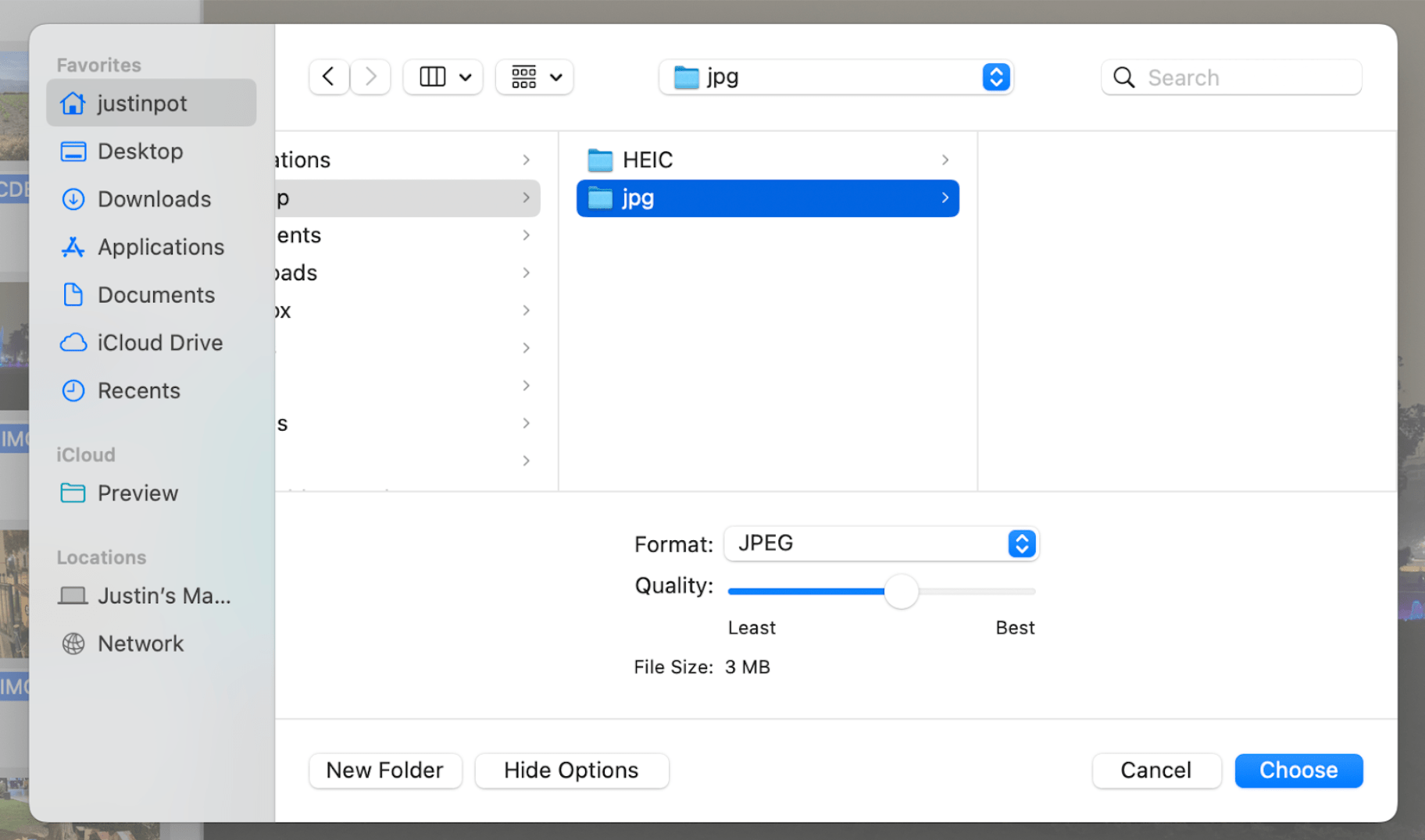 screenshot of convert file options