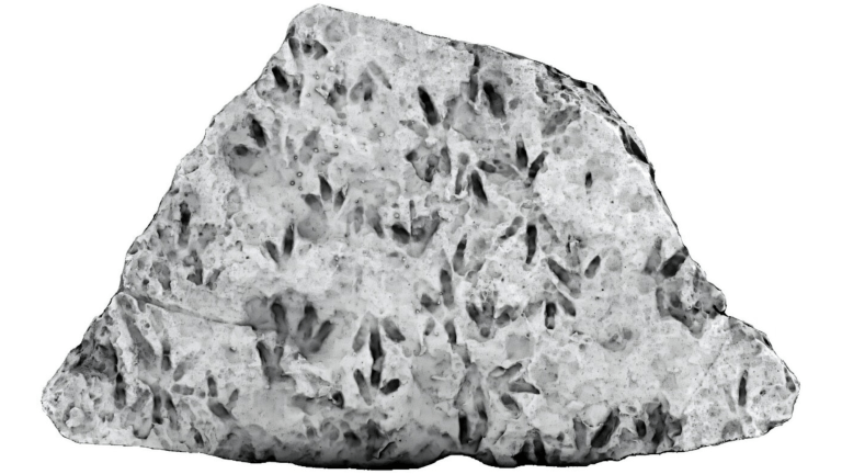 An undated handout photo released by the University of Queensland shows an image of the boulder using 3D imaging and light filters showing the dinosaur footprints.