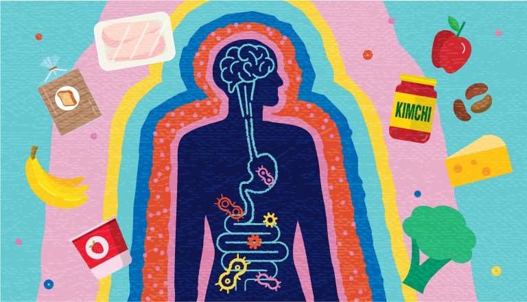 An illustration showing how the brain and gut are connected.