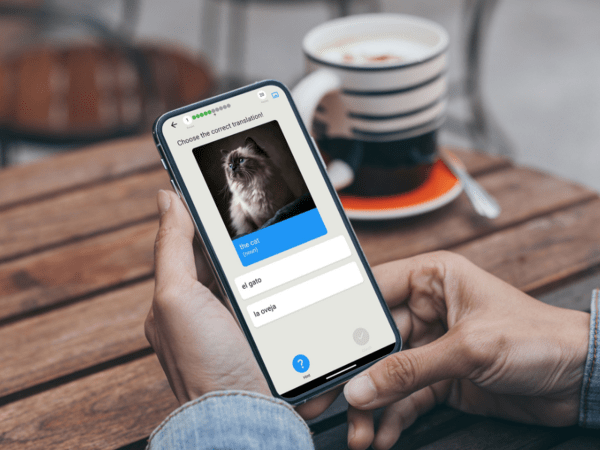 Header image for Qlango Online Language-Learning App Lifetime Subscription Stack Commerce sponsored deal