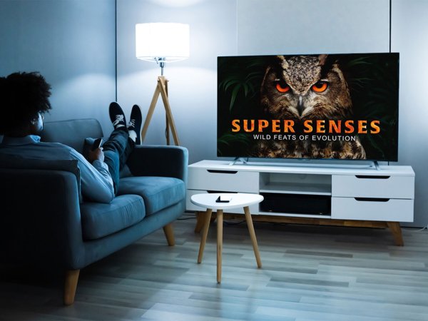 Header image for MagellanTV documentaries docuseries streaming service lifetime subscription Stack Commerce sponsored deal