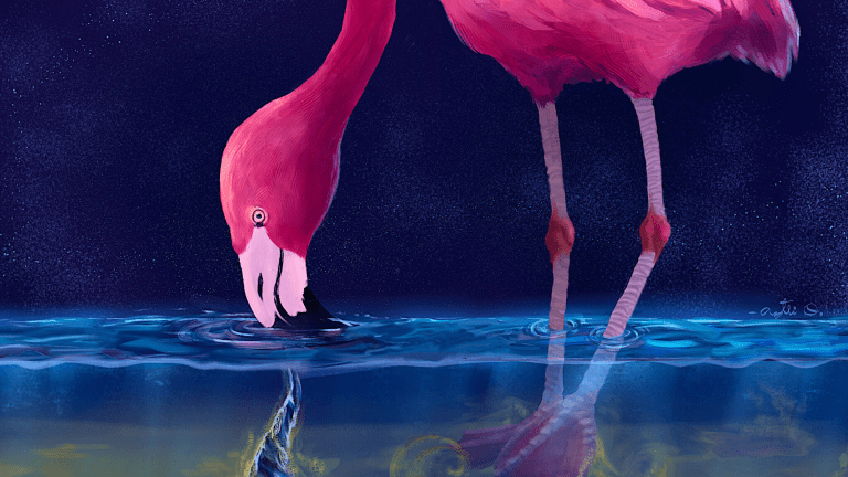 an illustration of a pink flamingo feeding in a shallow pool. a swirling vortex of water is near its beak
