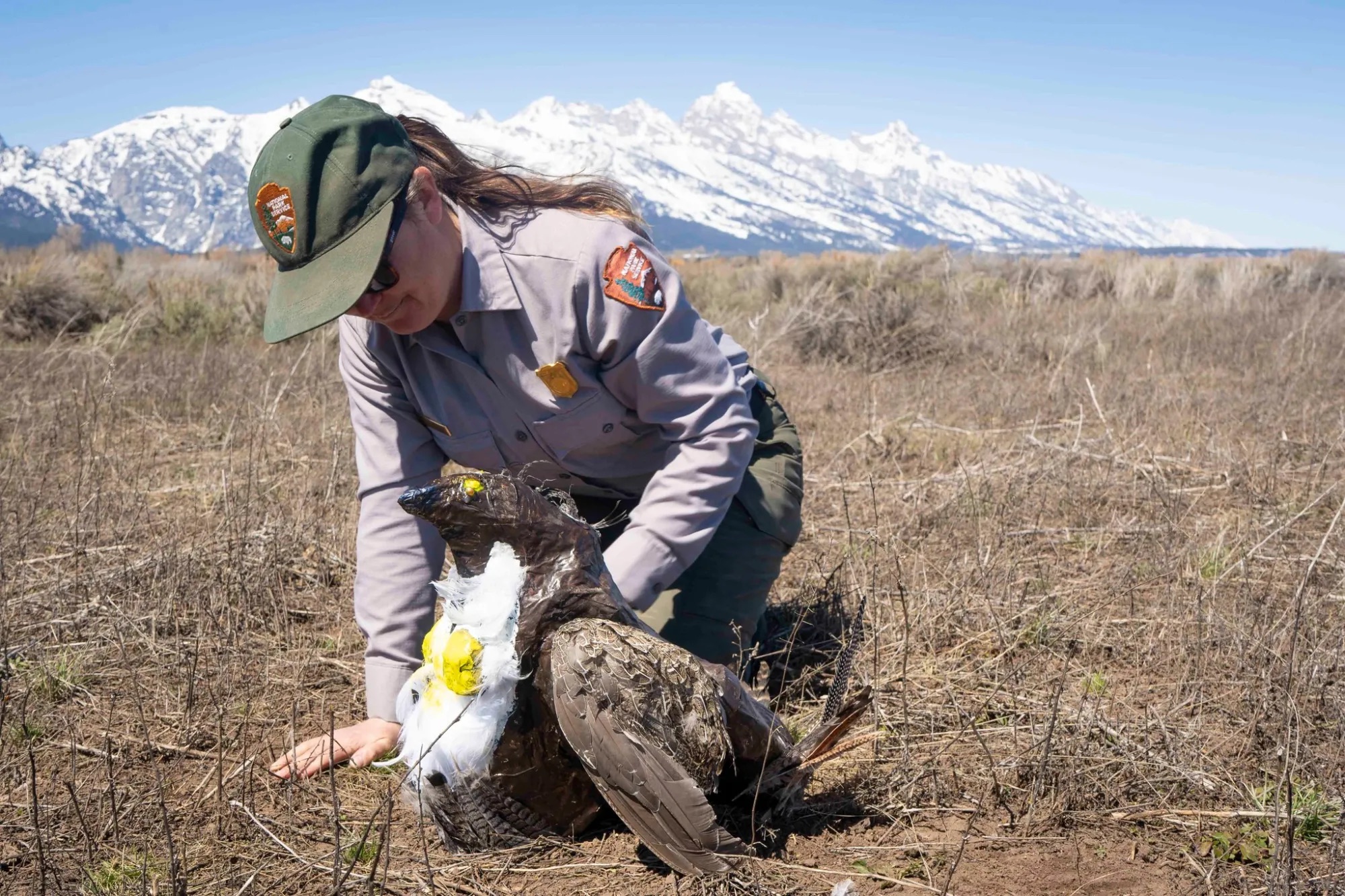 a parks official holding papier-mache bird